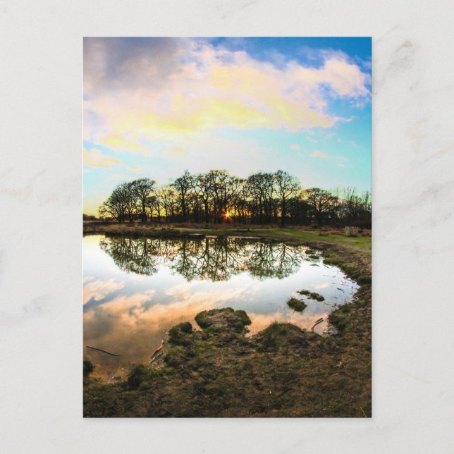 Richmond Park, London Postcard (Front)