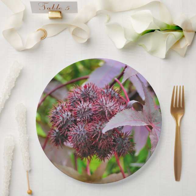 Ricinus communis Paper Plate (Wedding)
