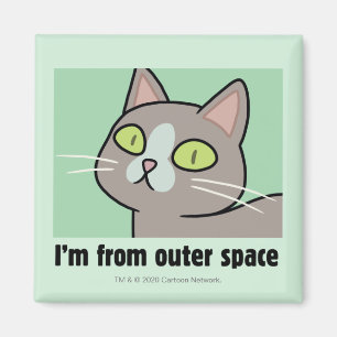 RICK AND MORTY™   I'm From Outer Space Magnet