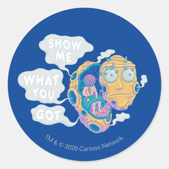 RICK AND MORTY™ | SHOW ME WHAT YOU GOT CLASSIC ROUND STICKER (Front)