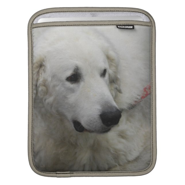 Rickshaw Sleeve iPad Sleeves - Customized (Front Device)