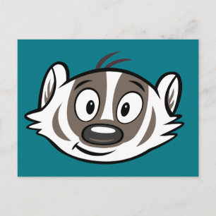 Ricky Raccoon Boomer Badger Face Postcard