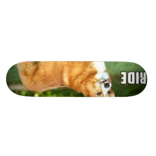 Ride For The Corgi Skateboard