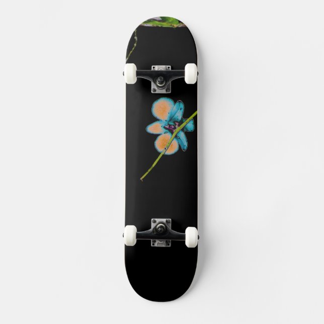 Ride nature II Skateboard (Front)