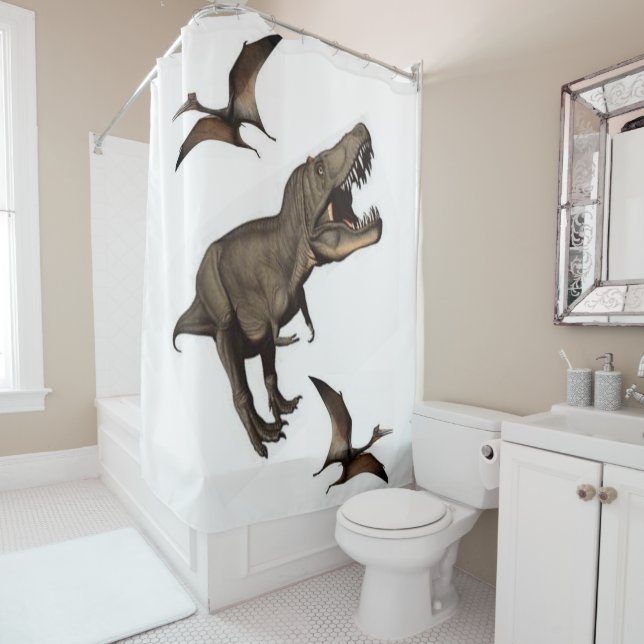 Rideau de douche (En situation)