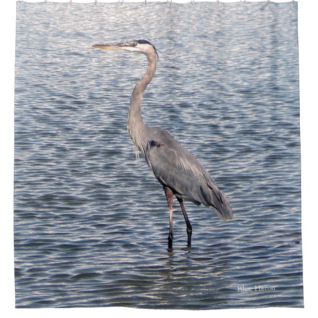 Rideau de douche à eau Blue Heron (Devant)