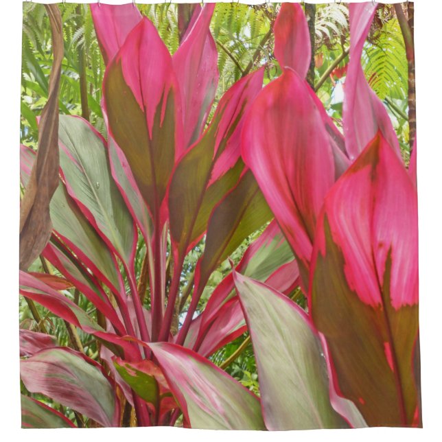 RIDEAU DE DOUCHE AVEC SOEUR ROUGE HAWAIIENNE TI PL (Devant)