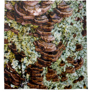 Rideau de douche champignon marron et vert