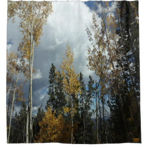 Rideau de douche d'Aspen