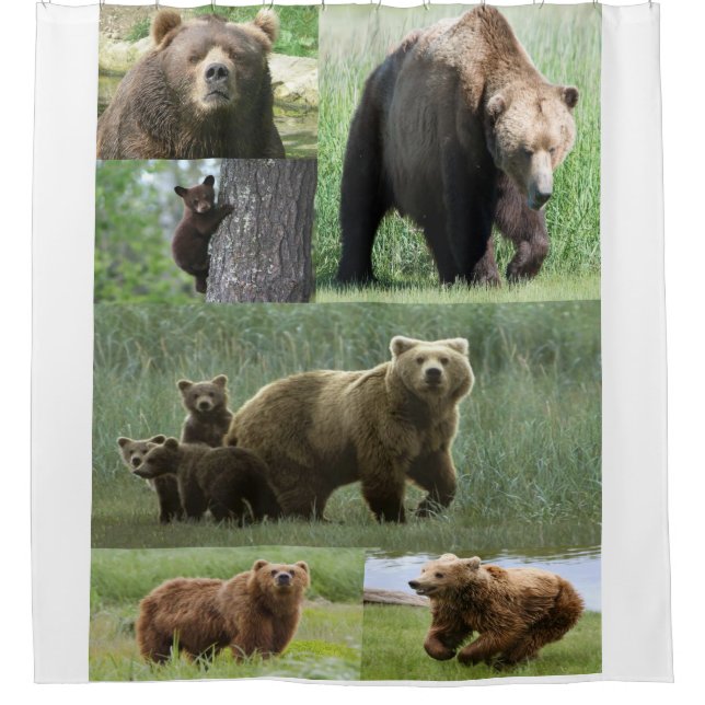 Rideau de douche d'ours (Devant)