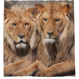 Rideau de douche Lions