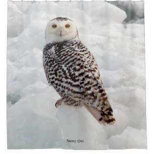 rideau de douche Snowy Owl