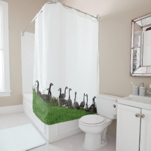 Rideau en douche d'animaux de faune d'oiseaux