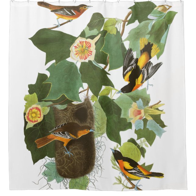 Rideau en douche d'Audubon de nid de faune (Devant)