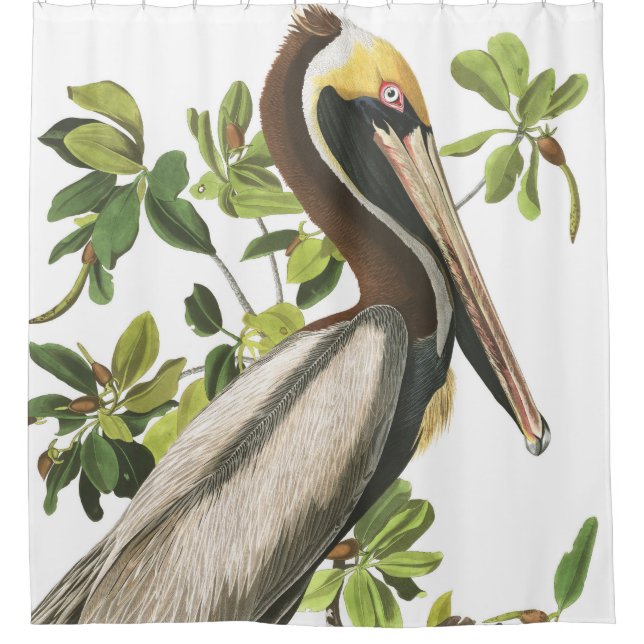 Rideau en douche de faune d'Audubon d'oiseau de (Devant)