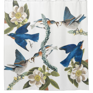 Rideau en douche de faune d'Audubon d'oiseaux