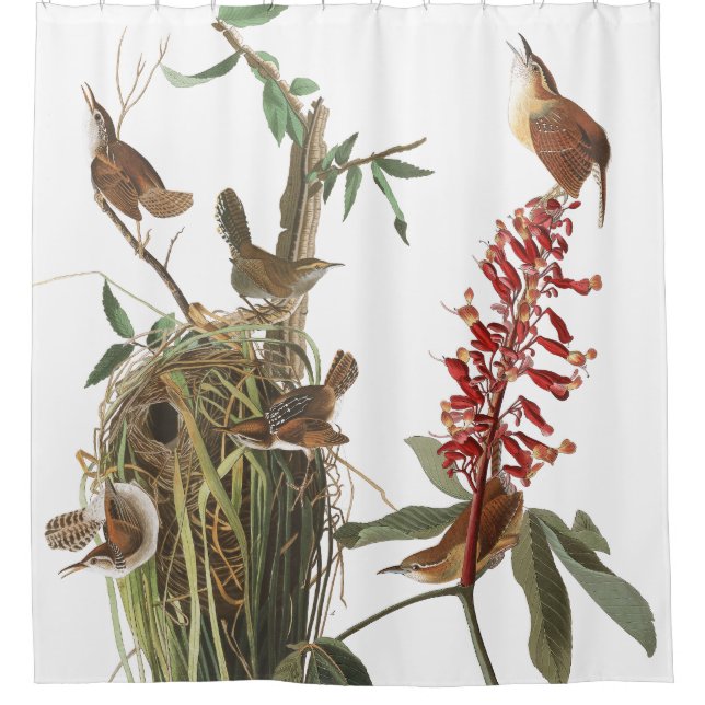 Rideau en douche de fleurs d'animaux d'oiseaux de (Devant)