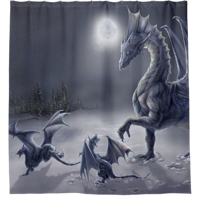 Rideau en douche de jour de neige (Devant)