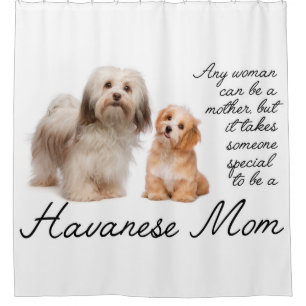 Rideau en douche de maman de Havanese