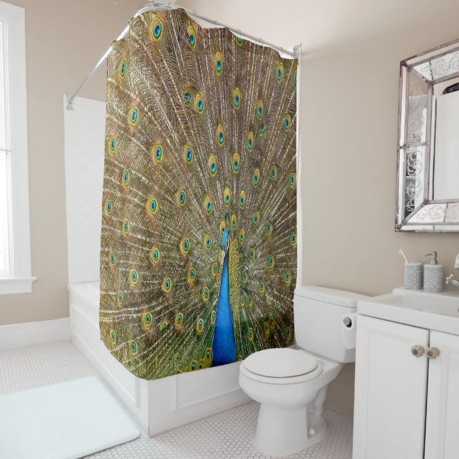 Rideau en douche de paon (En situation)