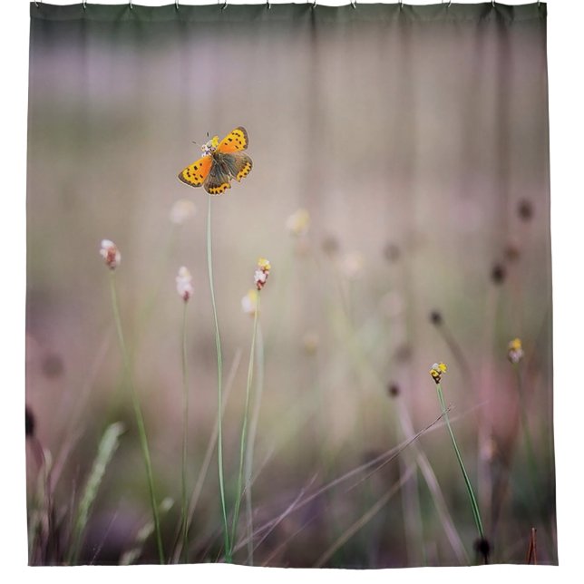Rideau en douche de papillon (Devant)