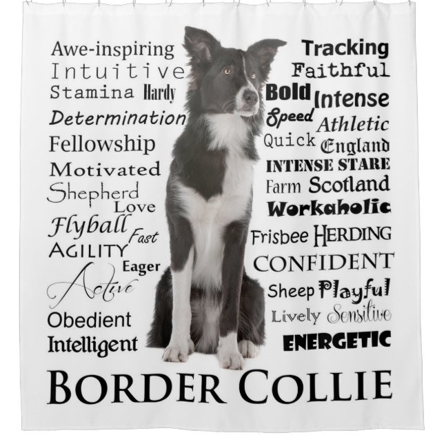 Rideau en douche de traits de border collie (Devant)