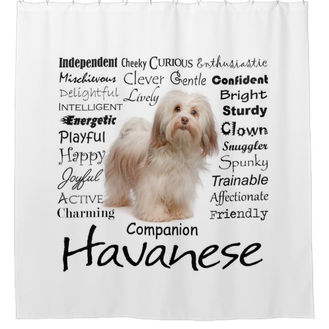 Rideau en douche de traits de Havanese (Devant)