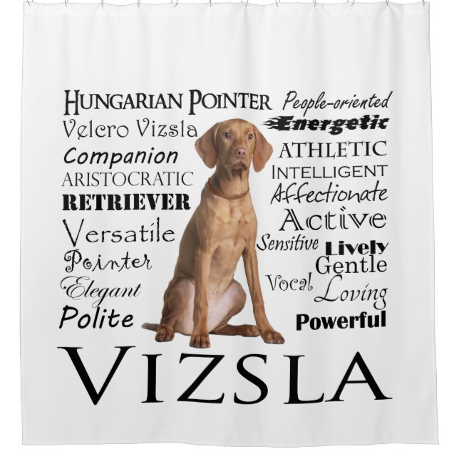 Rideau en douche de traits de Vizsla (Devant)