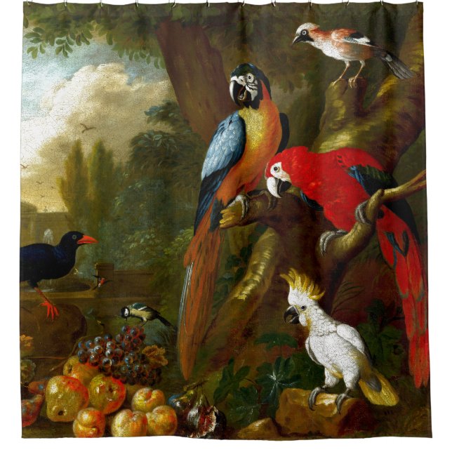 Rideau en douche d'oiseaux de perroquets de (Devant)