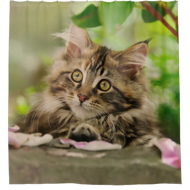 Rideau en douche mignon de chaton de chat de (Devant)