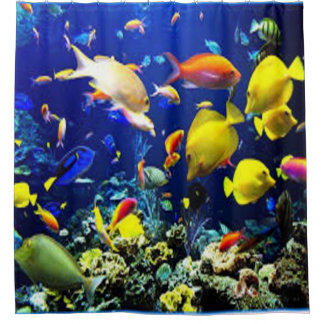 Rideau en douche tropical de poissons