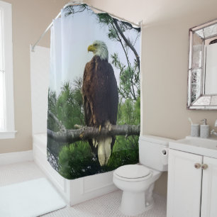 Rideaux De Douche Aigle mûr perché dans l'arbre À feuillage persista