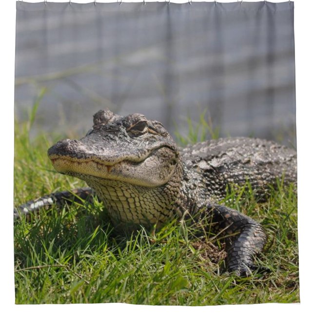 Rideaux De Douche ALLIGATOR dans la DOUCHE (Devant)