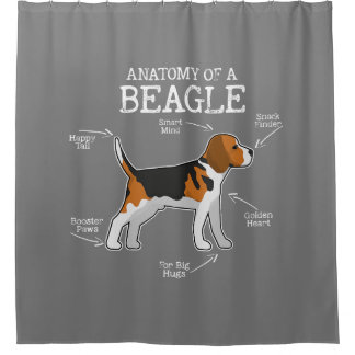 Rideaux De Douche Amateurs beagles/ Anatomie D'Un Beagle