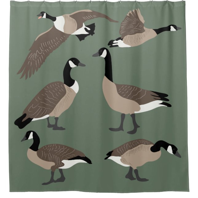Rideaux De Douche Amateurs d'oiseaux Canada Oies Illustration Sage G (Devant)
