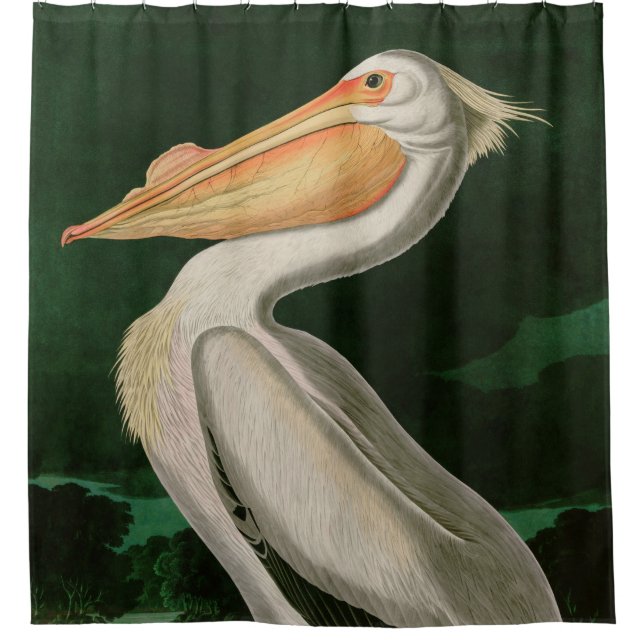 Rideaux De Douche American White Pelican Birds of America Audubon (Devant)