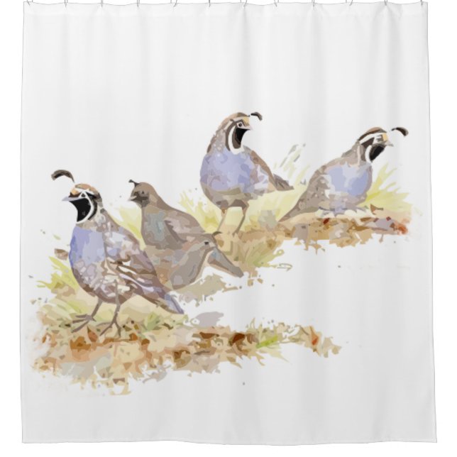 Rideaux De Douche Aquarelle Californie Quail Bird Nature Art (Devant)