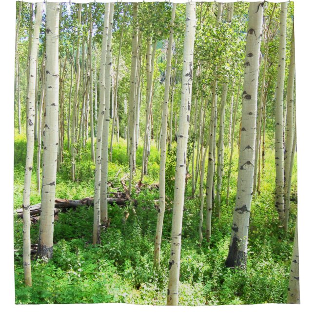 Rideaux De Douche Arbres d'Aspen (Devant)
