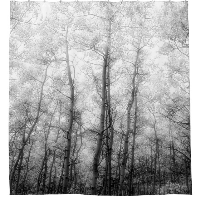 Rideaux De Douche Arbres d'Aspen - Noir et blanc (Devant)