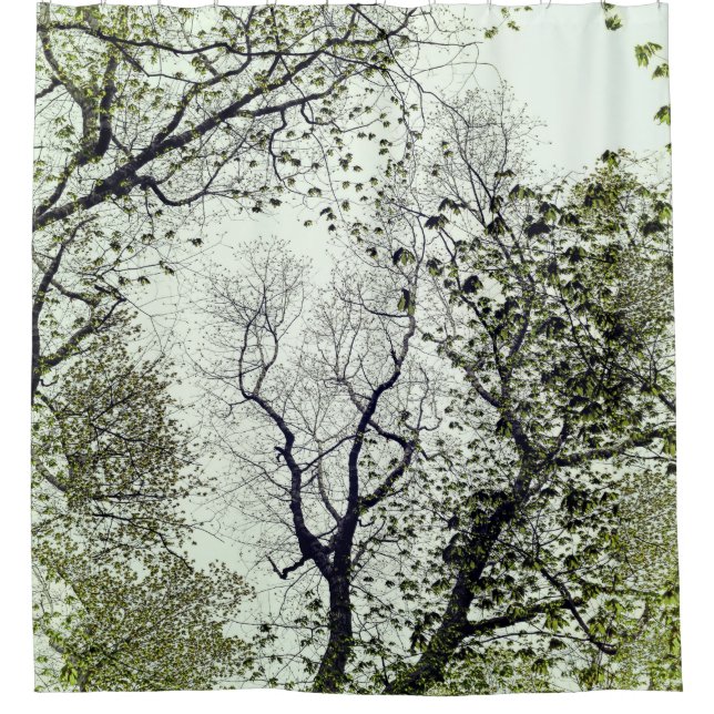 Rideaux De Douche Arbres et Feuille Olive et Seafoam Green (Devant)