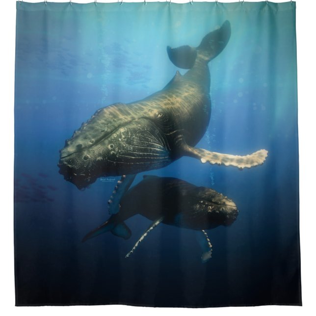 Rideaux De Douche Baleines bleues (Devant)