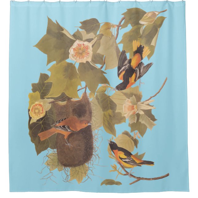 Rideaux De Douche Baltimore Oriole Audubon Bird Family avec nid (Devant)