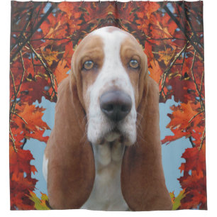 Rideaux De Douche Basset Hound