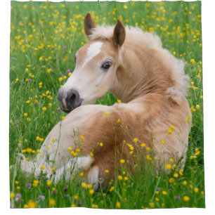 Rideaux De Douche Bassin à fleurs pour le petit poulain de Haflinger