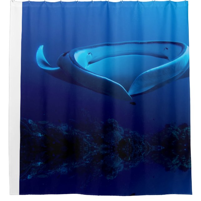 Rideaux De Douche Beau rayon de Manta géant bleu (Devant)