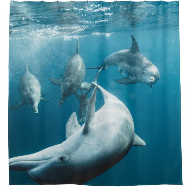Rideaux De Douche Beaux dauphins mignons (Devant)