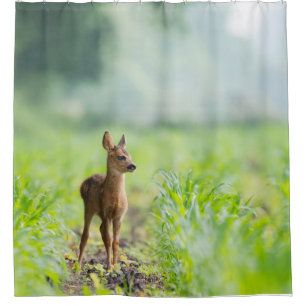 Rideaux De Douche Bébé mignon cerf Fawn dans l'herbe Nature Photogra