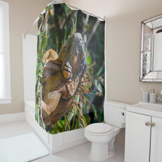 Rideaux De Douche Belize Photographie, Iguana Lizard (En situation)