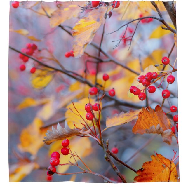 Rideaux De Douche Berry d'aubépine élégant en automne (Devant)
