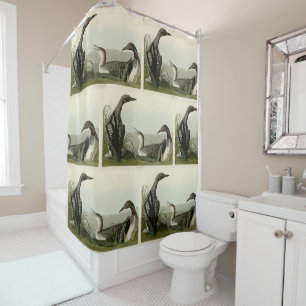 Rideaux De Douche Black Throated Diver Loon Audubon Birds of America